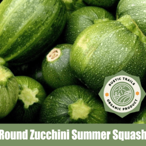 Round Zucchini, Summer Squash